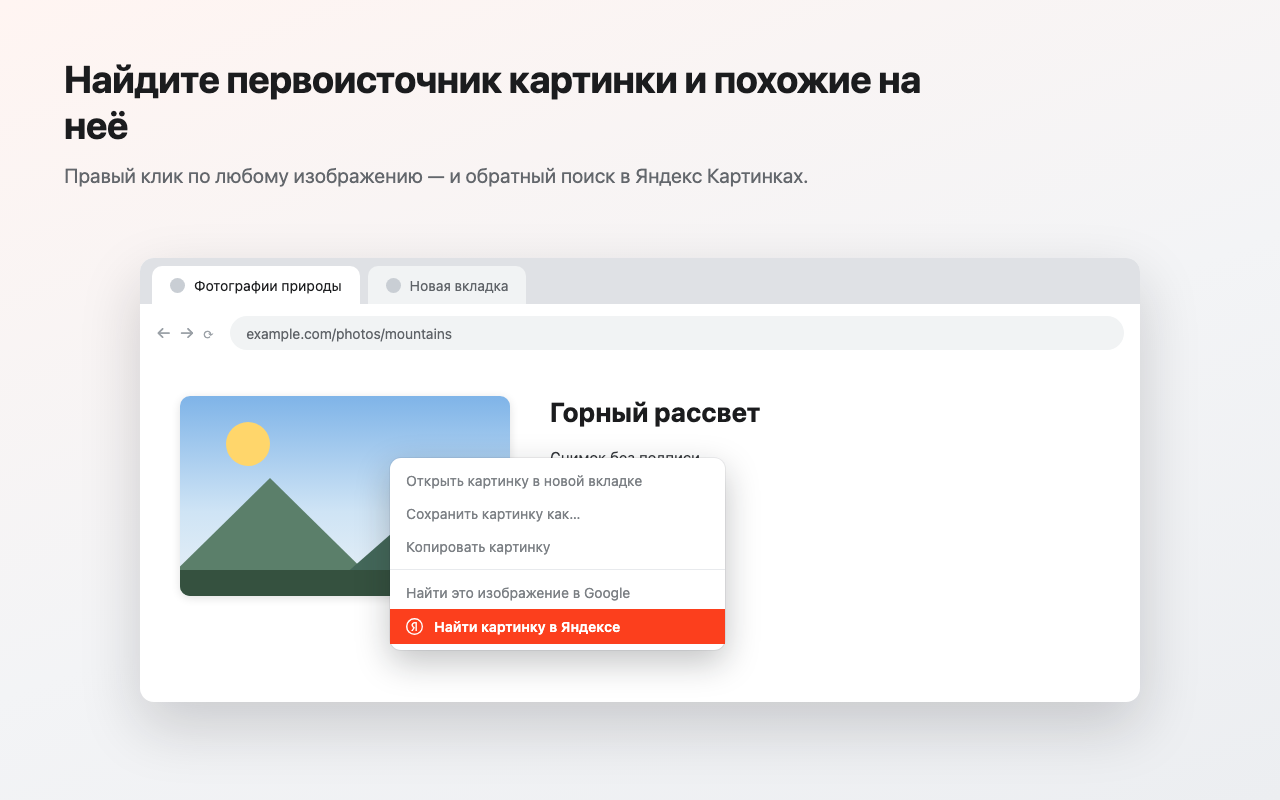 Контекстное меню Chrome с пунктом «Найти картинку в Яндексе» на изображении